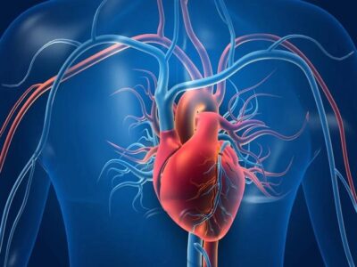 Does High Cholesterol Cause Heart Disease?