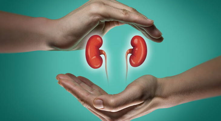 Kidney-Transplant-FAQS